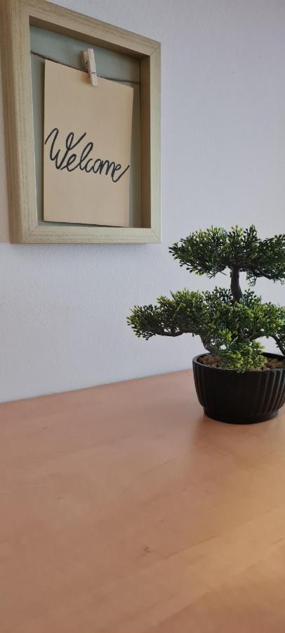 Apartment Aurora مورفسكه تيبليتسه المظهر الخارجي الصورة